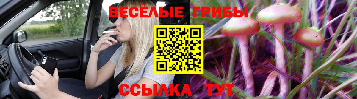 Сухой Лог  Галлюциногенные грибы MAGIC MUSHROOMS  Вход с VPN 